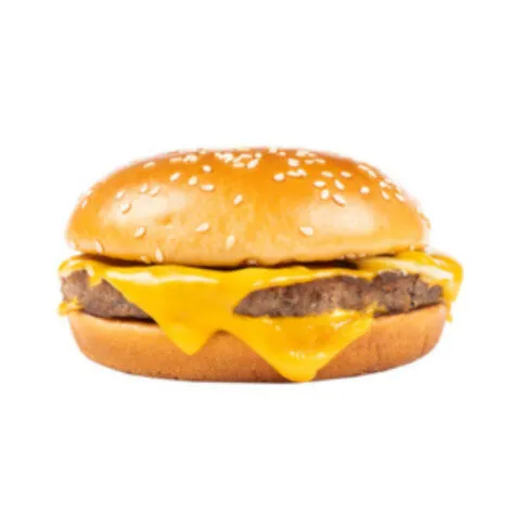 Cheese Burger with Onions